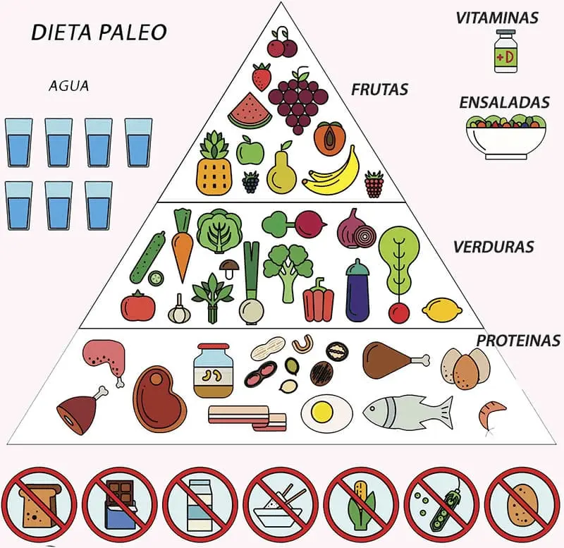 Dieta evolutiva, alimentación evolutiva