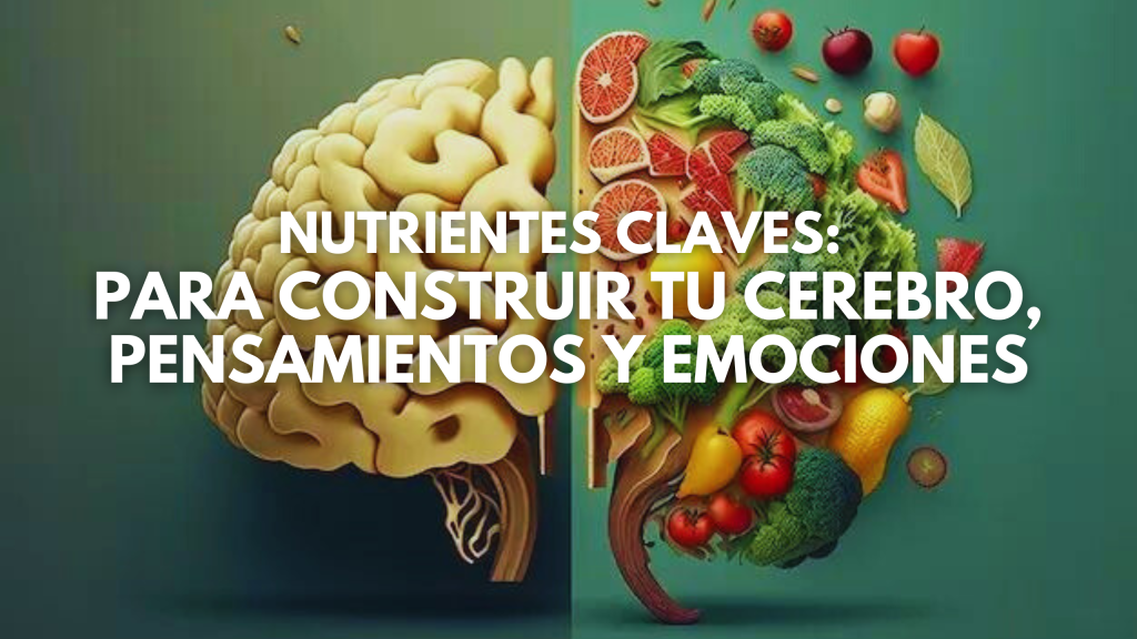 Nutrientes Clave para Construir tu Cerebro, Pensamientos y Emociones